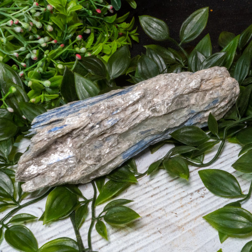 Blue Kyanite #6