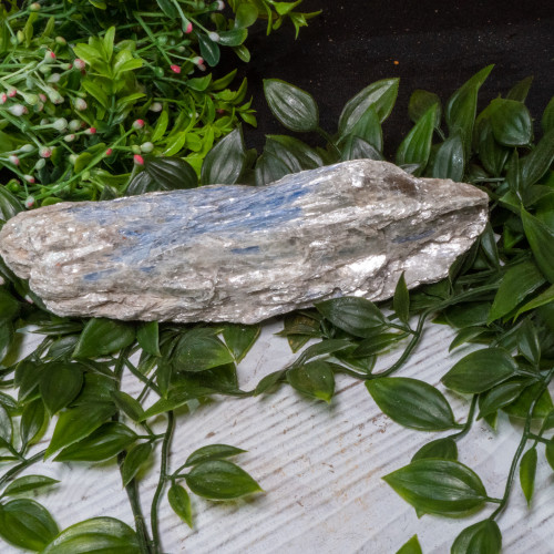 Blue Kyanite #6