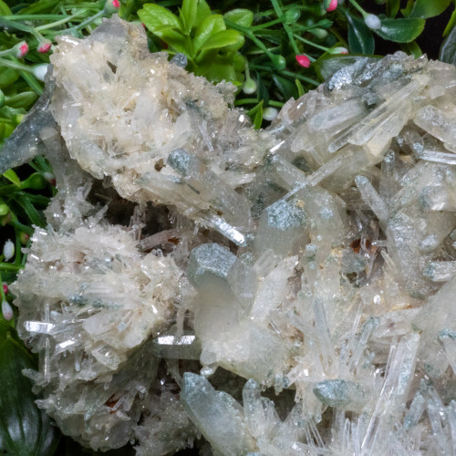 Chloride and Mango Quartz #1