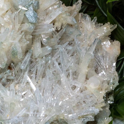 Chloride and Mango Quartz #1