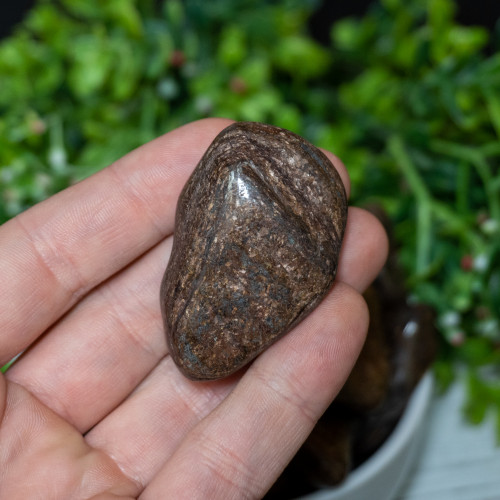 XL Bronzite Tumbled