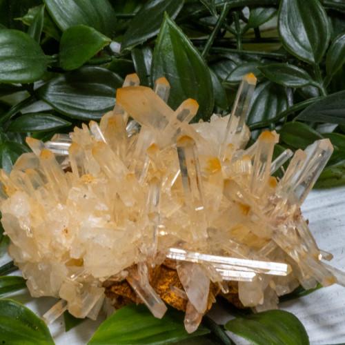 Mango Quartz #2