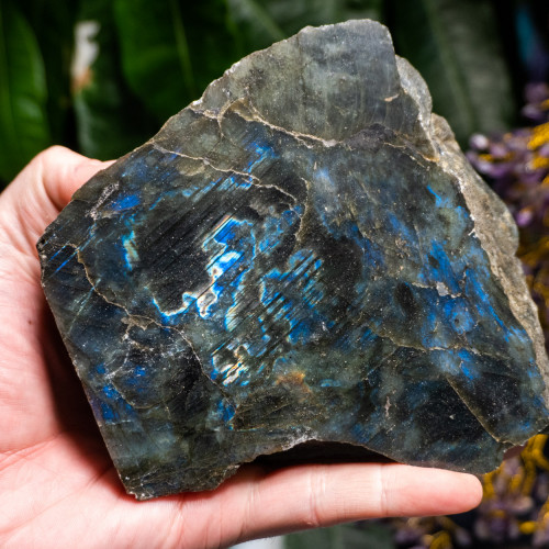 XL Half-Polished Labradorite #2