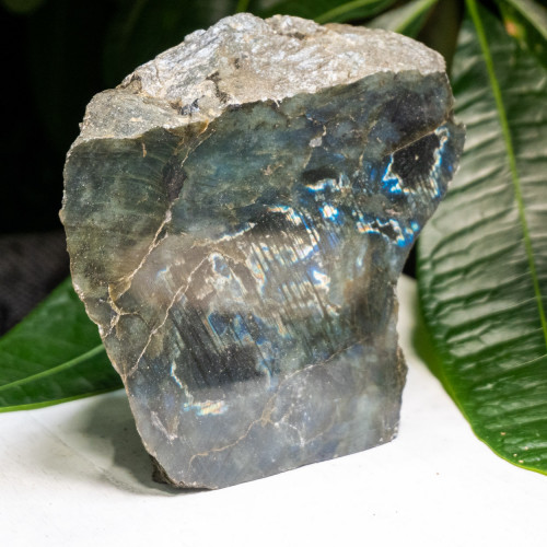 XL Half-Polished Labradorite #2