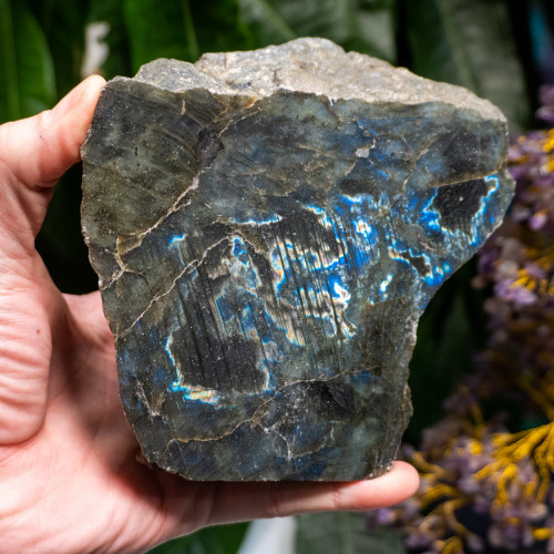 XL Half-Polished Labradorite #2