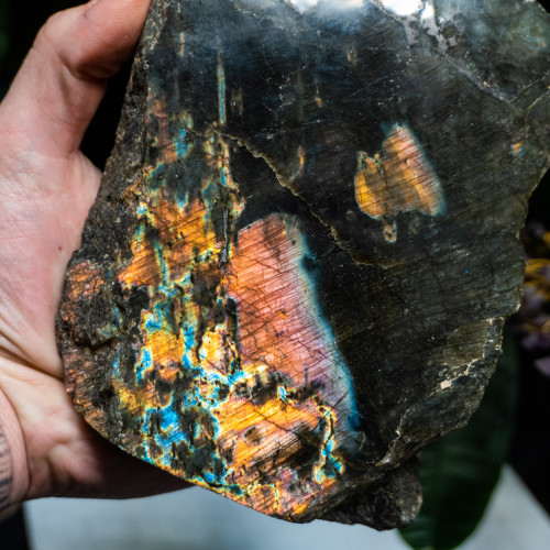 XL Half-Polished Labradorite #1