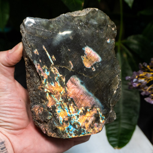 XL Half-Polished Labradorite #1