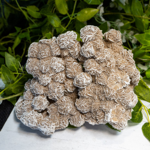 XL Desert Rose Selenite #10