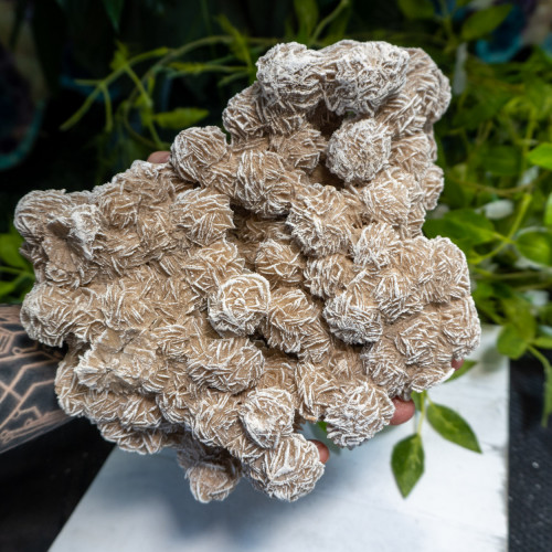 XL Desert Rose Selenite #10