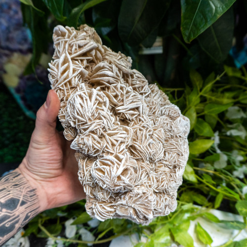 XL Desert Rose Selenite #8