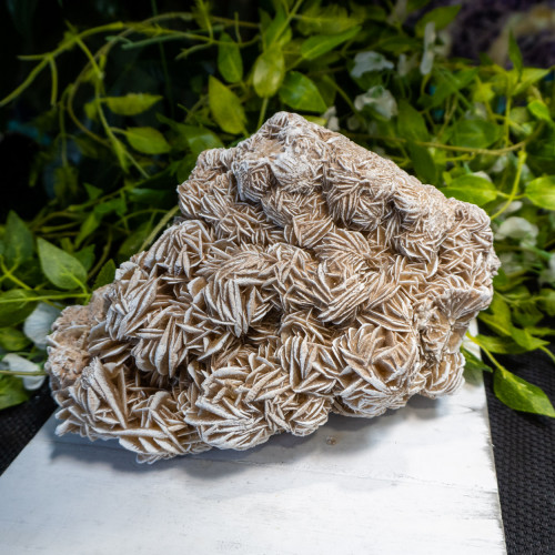 XL Desert Rose Selenite #8