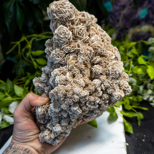 XL Desert Rose Selenite #7