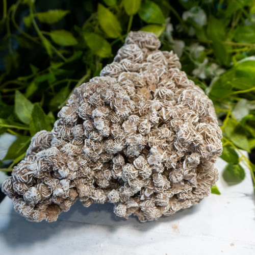 XL Desert Rose Selenite #7