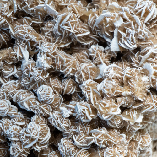 XL Desert Rose Selenite #7