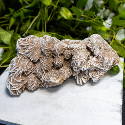 XL Desert Rose Selenite #6