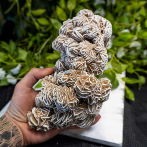 XL Desert Rose Selenite #6