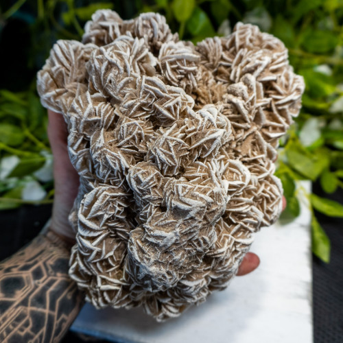 XL Desert Rose Selenite #5