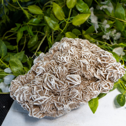 XL Desert Rose Selenite #2