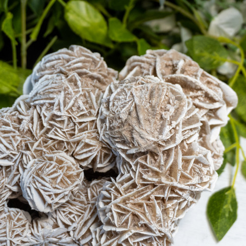 XL Desert Rose Selenite #1
