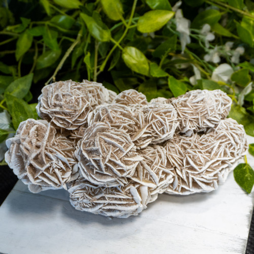 XL Desert Rose Selenite #1