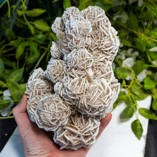 XL Desert Rose Selenite #1