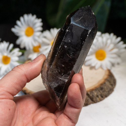 Smoky Quartz #4