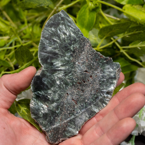 Seraphinite Slab #1