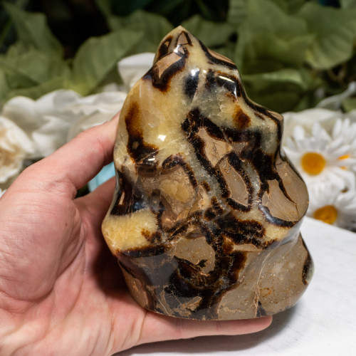 Septarian Flame #2