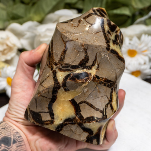 Septarian Flame #1