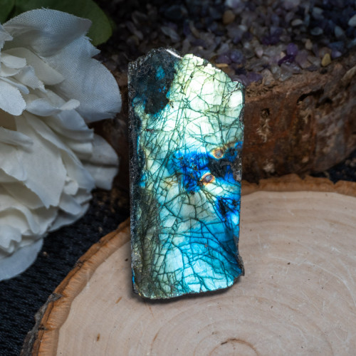 Palm Sized Half-Polished Labradorite #20