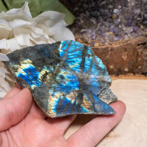 Palm Sized Half-Polished Labradorite #16