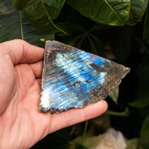 Palm Sized Half-Polished Labradorite #12