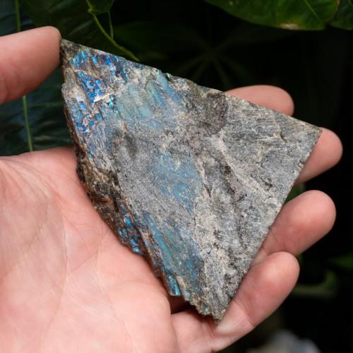 Palm Sized Half-Polished Labradorite #12