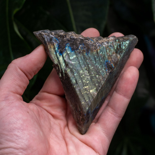 Palm Sized Half-Polished Labradorite #11