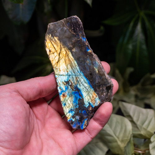 Palm Sized Half-Polished Labradorite #10