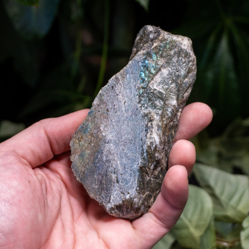 Palm Sized Half-Polished Labradorite #10