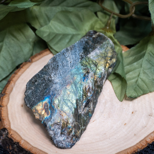 Palm Sized Half-Polished Labradorite #10