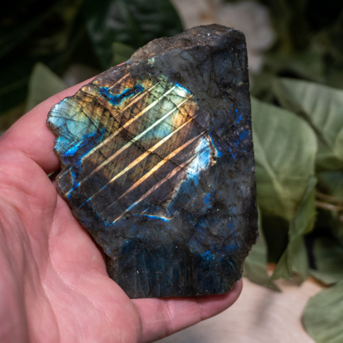 Palm Sized Half-Polished Labradorite #9