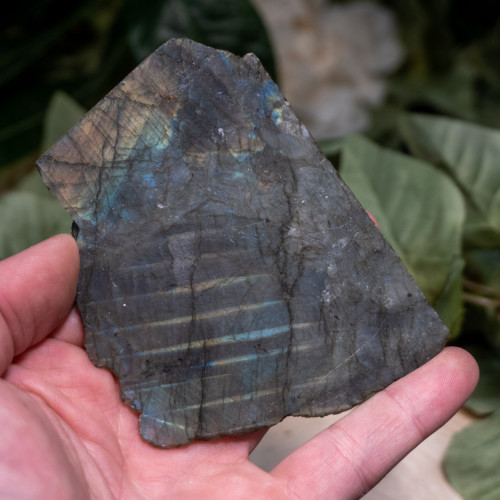 Palm Sized Half-Polished Labradorite #9