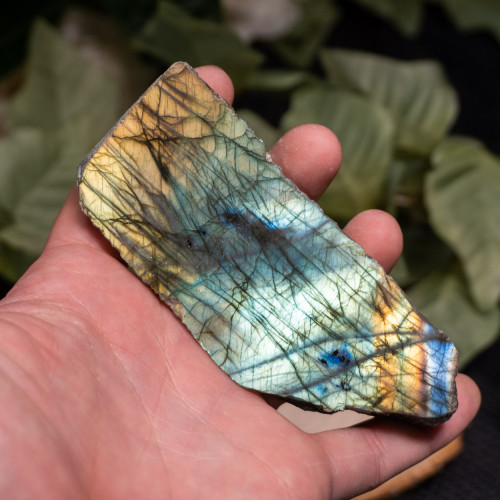 Palm Sized Half-Polished Labradorite #5