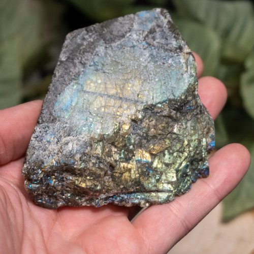 Palm Sized Half-Polished Labradorite #3