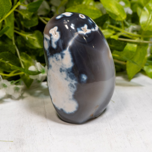 Orca Agate Freeform #6