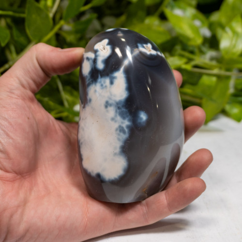 Orca Agate Freeform #6