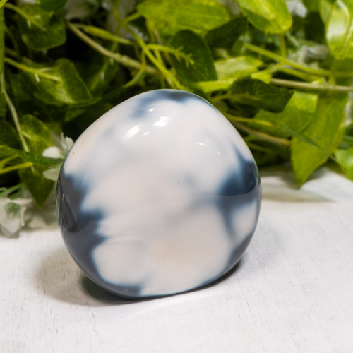 Orca Agate Freeform #4