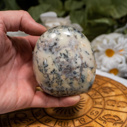 Medium Random Dendritic Agate Freeform