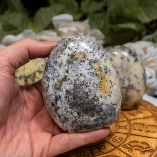 Medium Random Dendritic Agate Freeform