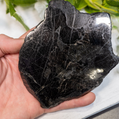 Large Hypersthene Slab #3