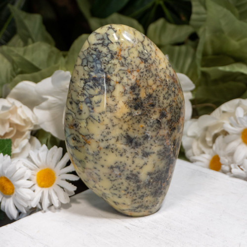 Dendritic Agate Freeform #3