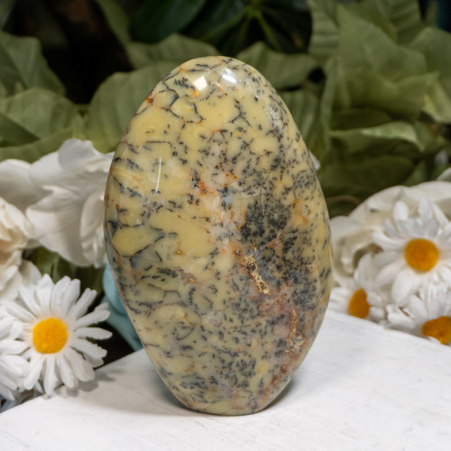 Dendritic Agate Freeform #3