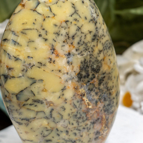 Dendritic Agate Freeform #3